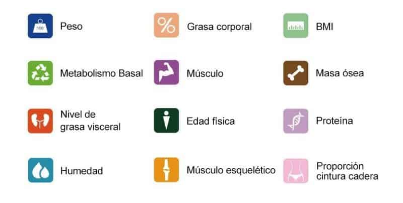 tipos de mediciones de peso en una bascula