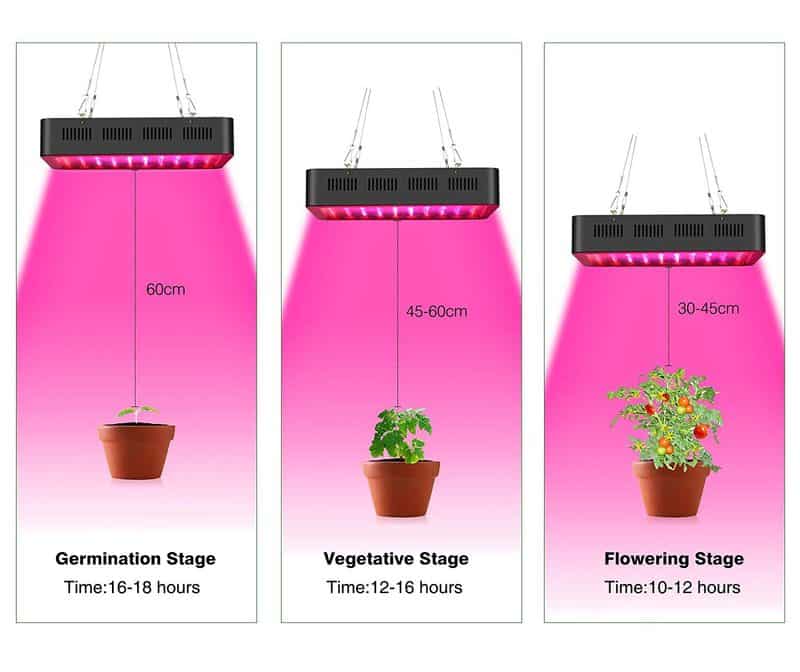 altura y tiempo de exposicion de luz led para cultivo