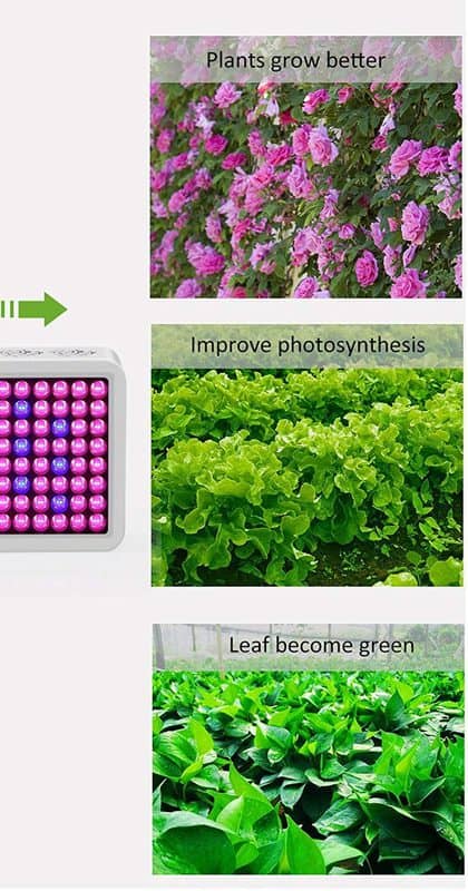 distintos tipos de cultivo con luz led